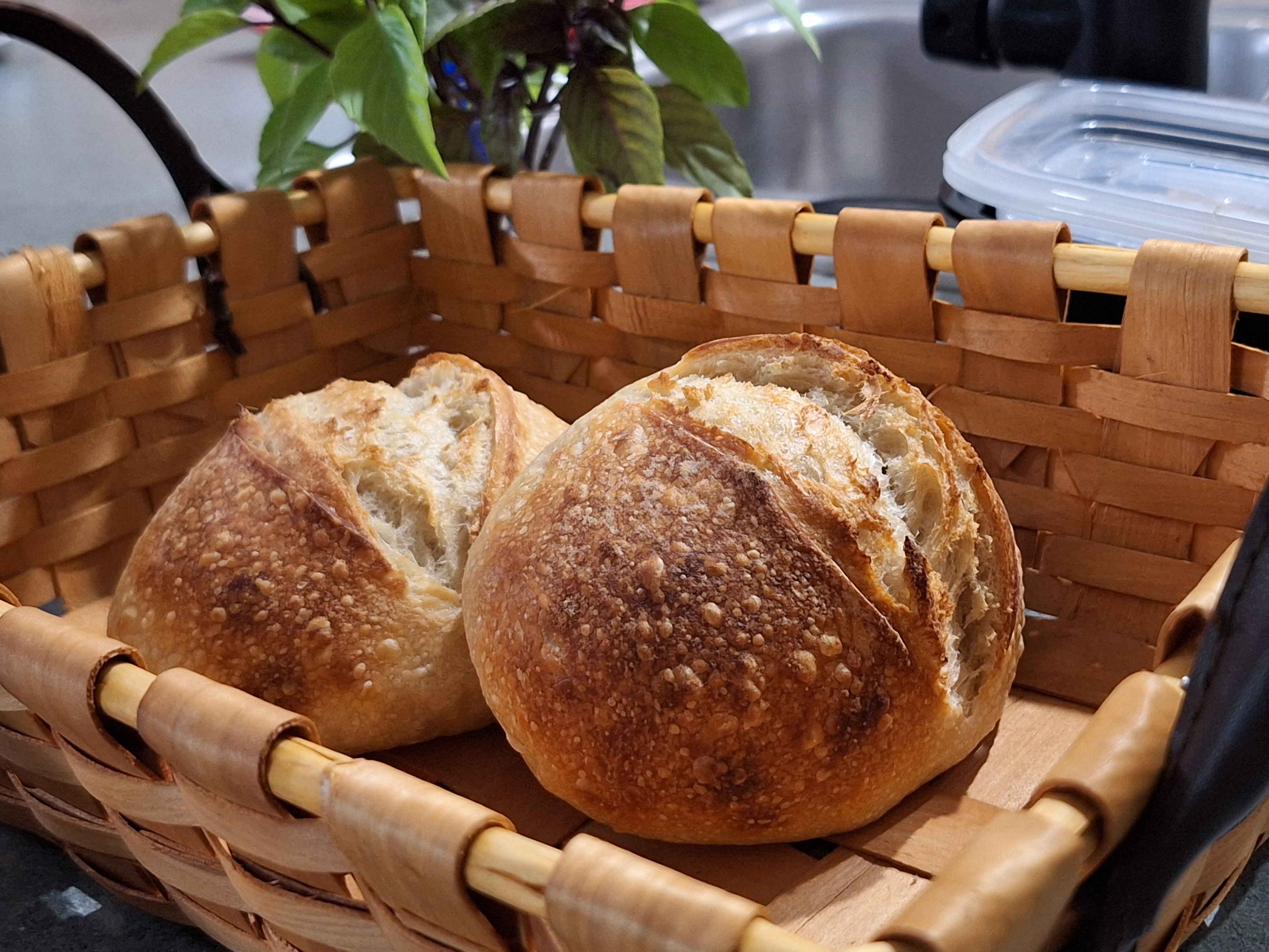 Fresh Sourdough Bread in Parrish